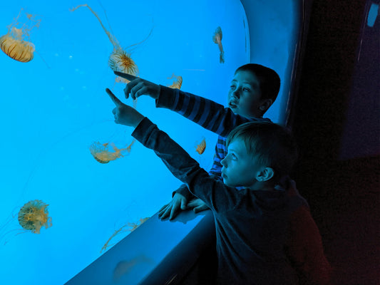 Photography, Stargazing, and Aquariums for All Ages